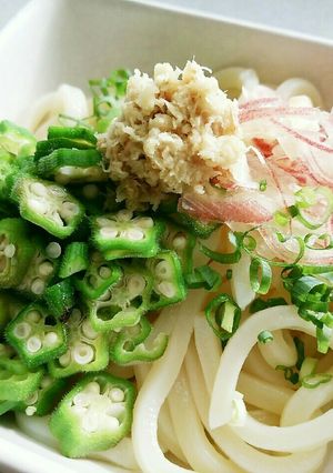 刻みオクラと薬味の冷しうどん-レシピのメイン写真
