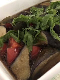 夏野菜の麺つゆ煮浸し-レシピのメイン写真