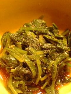 ほうれん草の胡麻和え-レシピのメイン写真