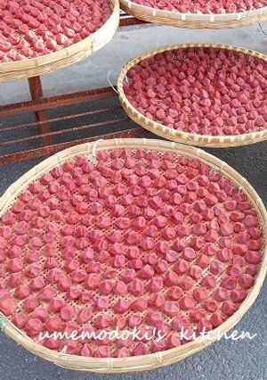 梅の土用干し-レシピのメイン写真