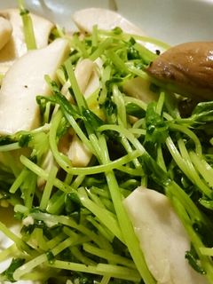 豆苗とエリンギのソテー♪-レシピのメイン写真