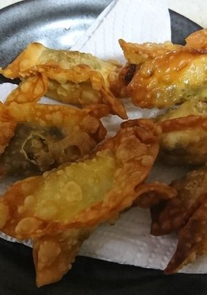 カレー味ゴーヤとポテト&チーズの包み揚げ-レシピのメイン写真