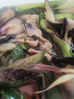 さし酢で作る茄子の生しば漬け-レシピのメイン写真