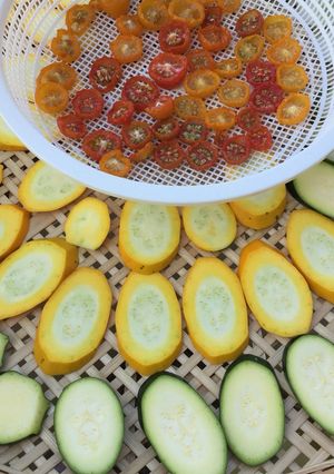 暑さに負けるな!野菜を干すのだ!-レシピのメイン写真