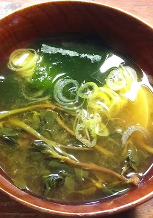SDGs乾燥スベリヒユじゃがいもの味噌汁-レシピのメイン写真