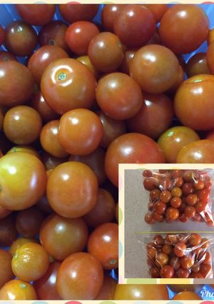 ミニトマトの冷凍保存-レシピのメイン写真