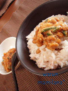 納豆の美味しい食べ方✿ネギ味噌で✿-レシピのメイン写真
