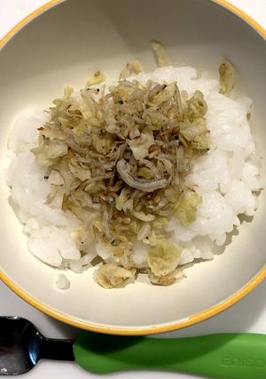 キャベツとしらすのふりかけ-レシピのメイン写真