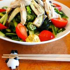 รูปของ 蒸し鶏と蒸し茄子の野菜たっぷり冷やし中華