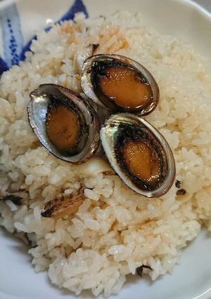 トコブシの貝めし《炊き込み》-レシピのメイン写真
