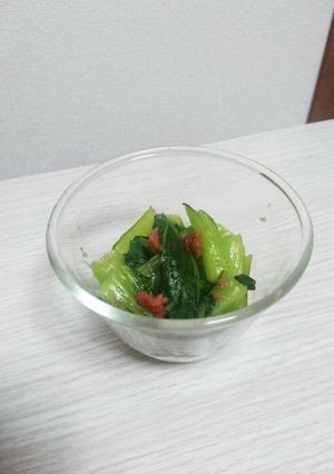 一人分から！チンゲン菜の梅ごま油和え-レシピのメイン写真