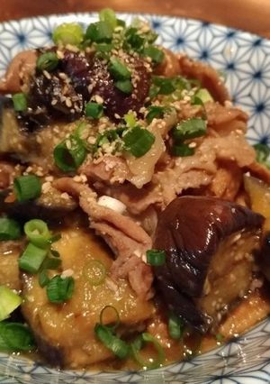 豚肉と厚揚げと茄子の炒め煮-レシピのメイン写真