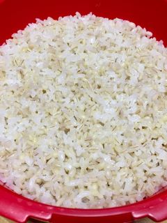 マイヤー電子レンジ圧力鍋 もち麦ご飯-レシピのメイン写真