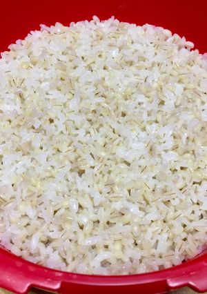 マイヤー電子レンジ圧力鍋 もち麦ご飯-レシピのメイン写真
