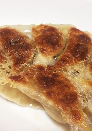 簡単☆鶏ひき肉と玉ねぎの手作りぎょうざ-レシピのメイン写真