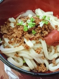 肉そぼろうどん。梅のせ!-レシピのメイン写真