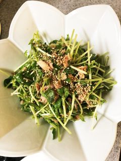 豆苗のツナ和え-レシピのメイン写真