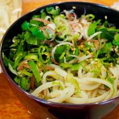 รูปของ 猛烈に元気になる!やりすぎ薬味うどん