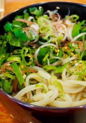 猛烈に元気になる！やりすぎ薬味うどん-レシピのメイン写真