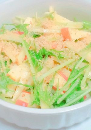 さっぱり♪りんごと水菜のごまドレサラダ-レシピのメイン写真