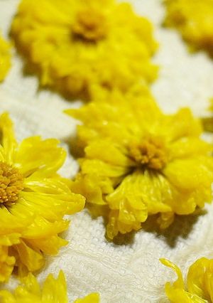 花の形のまま♪食用菊の冷凍保存方法-レシピのメイン写真