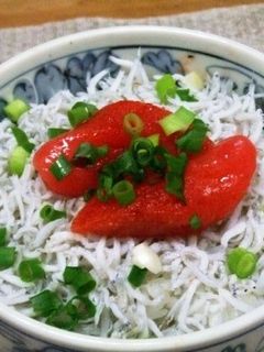 明太子・しらす丼-レシピのメイン写真