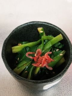 にらと桜えびのサッパリおひたし-レシピのメイン写真