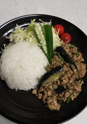 辛くない和風麻婆茄子のプレート-レシピのメイン写真