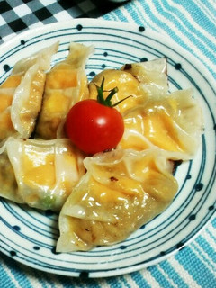 おからの炊いたんカレー味とチーズで餃子-レシピのメイン写真