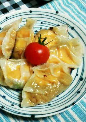 おからの炊いたんカレー味とチーズで餃子-レシピのメイン写真