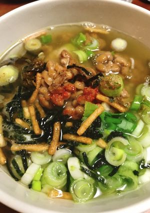 ☆トロリと美味しい納豆茶漬け☆-レシピのメイン写真