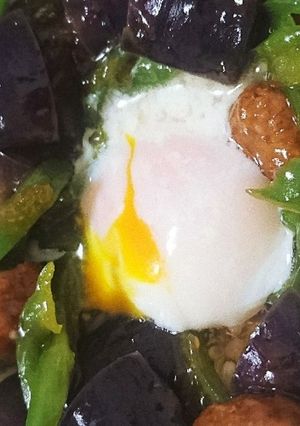 彩り茄子とミートボールのズボラ丼-レシピのメイン写真