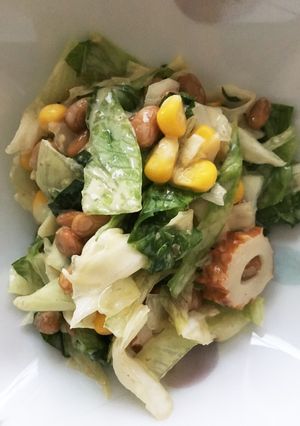 納豆混ぜ混ぜサラダ☆-レシピのメイン写真
