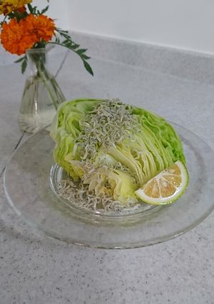 もう一品！レタスとカリカリジャコのサラダ-レシピのメイン写真