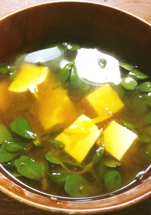 SDGs　スベリヒユと豆腐のお味噌汁-レシピのメイン写真
