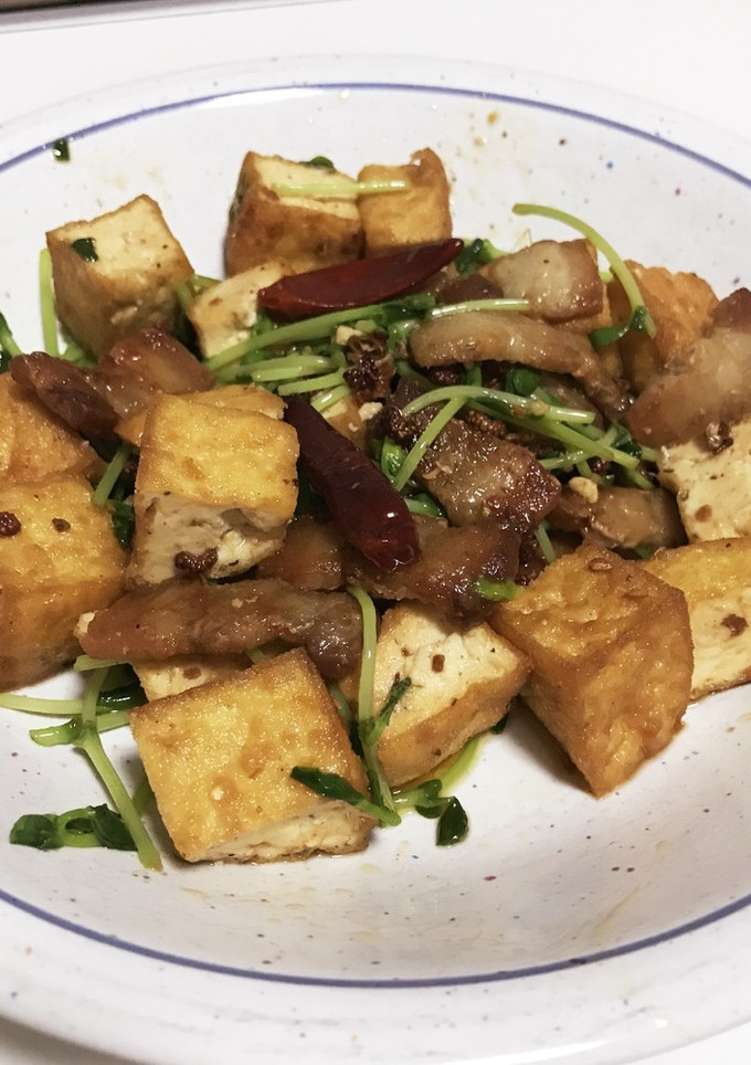 手間無しパパっと！厚揚げと豚肉の麻辣炒め-レシピのメイン写真