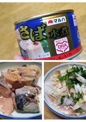 夏はさば缶を冷やしましょう～ｷﾝｷﾝに♬-レシピのメイン写真
