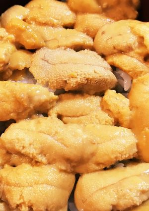 劇速ッ!稚内とれたて超豪華ウニ丼!-レシピのメイン写真