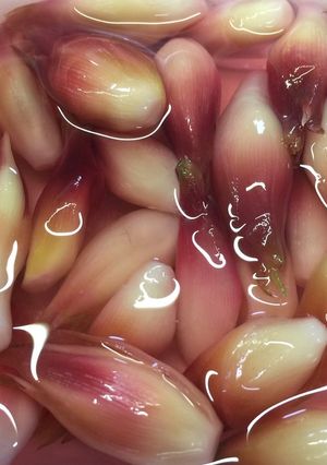 ミョウガの甘酢漬け-レシピのメイン写真