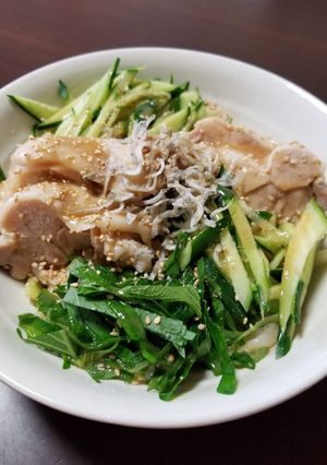 鶏もも肉としその鶏塩白湯冷やしうどん-レシピのメイン写真