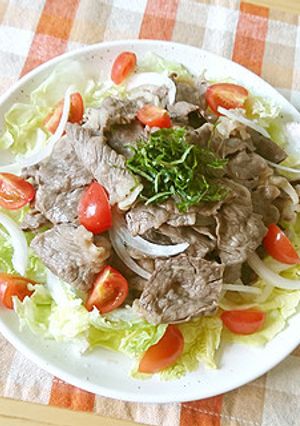夏にぴったり！ 牛肉の冷しゃぶサラダ-レシピのメイン写真