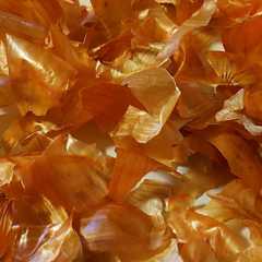 捨てる前に!!玉ねぎの皮で美容＆健康対策-レシピのメイン写真