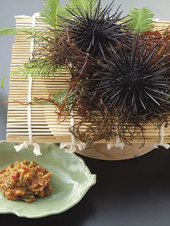 絶対おいしい!ウニみそ-レシピのメイン写真