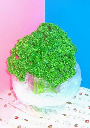 ☆パセリを長持ちさせよう~♪(保存法)-レシピのメイン写真