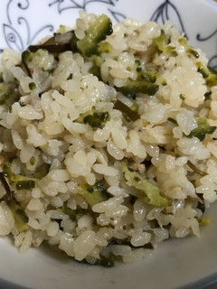 ゴーヤ炊き込みご飯(無水鍋QC使用)-レシピのメイン写真