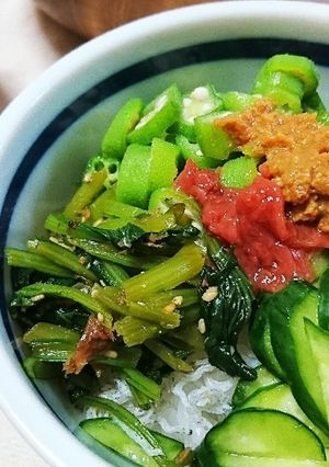 栄養満点☆簡単に作れる冷汁。-レシピのメイン写真