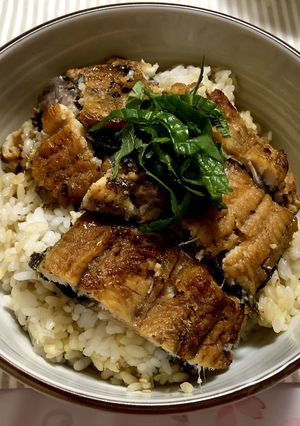 土用の丑の日にうなぎの蒲焼きご飯-レシピのメイン写真