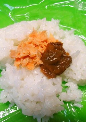 ＊残り物で猛暑用梅干し入りおにぎり＊-レシピのメイン写真
