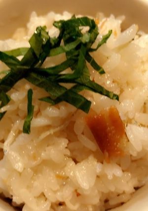 梅ちりめんご飯-レシピのメイン写真