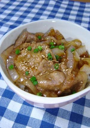豚肉の☆甘辛丼-レシピのメイン写真